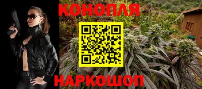 шишки Партизанск