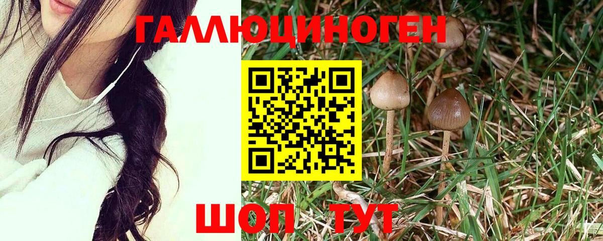 Галлюциногенные грибы мицелий Трёхгорный